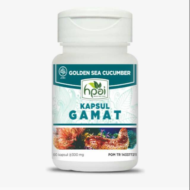 Kapsul Gamat HNI HPAI Obat Nyeri Sendi