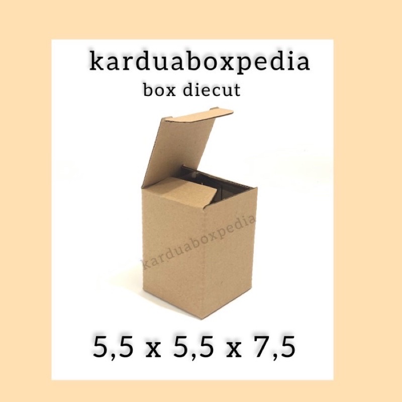 

corrugated box 5,5x5,5x7,5 box diecut/box pizza packing