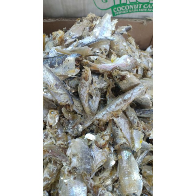 

Ikan Sampah Daging asli Medan