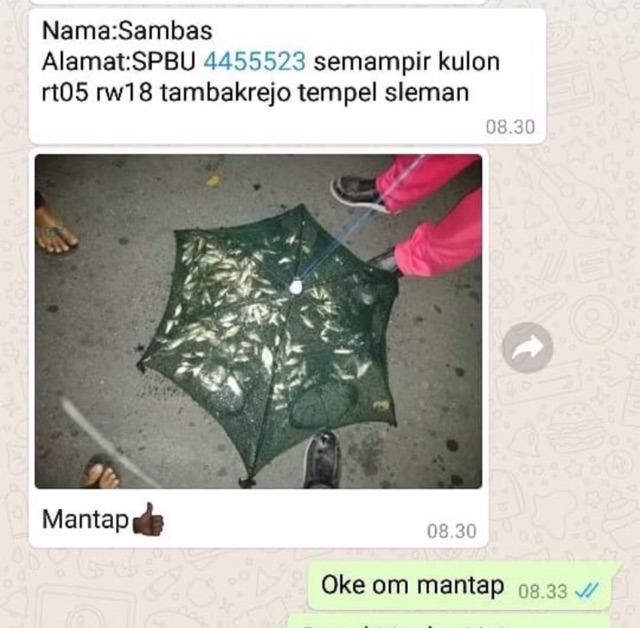 Jaring perangkap ikan dan udang