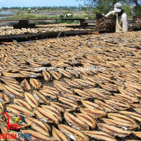 

Ikan Kayu Keumamah Aceh / Ikan Kayu Khas Aceh Segar Langsung Dari Pabrik