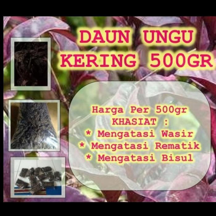

Daun Ungu Kering Asli 500gr | Mengatasi Wasir & Ambeien