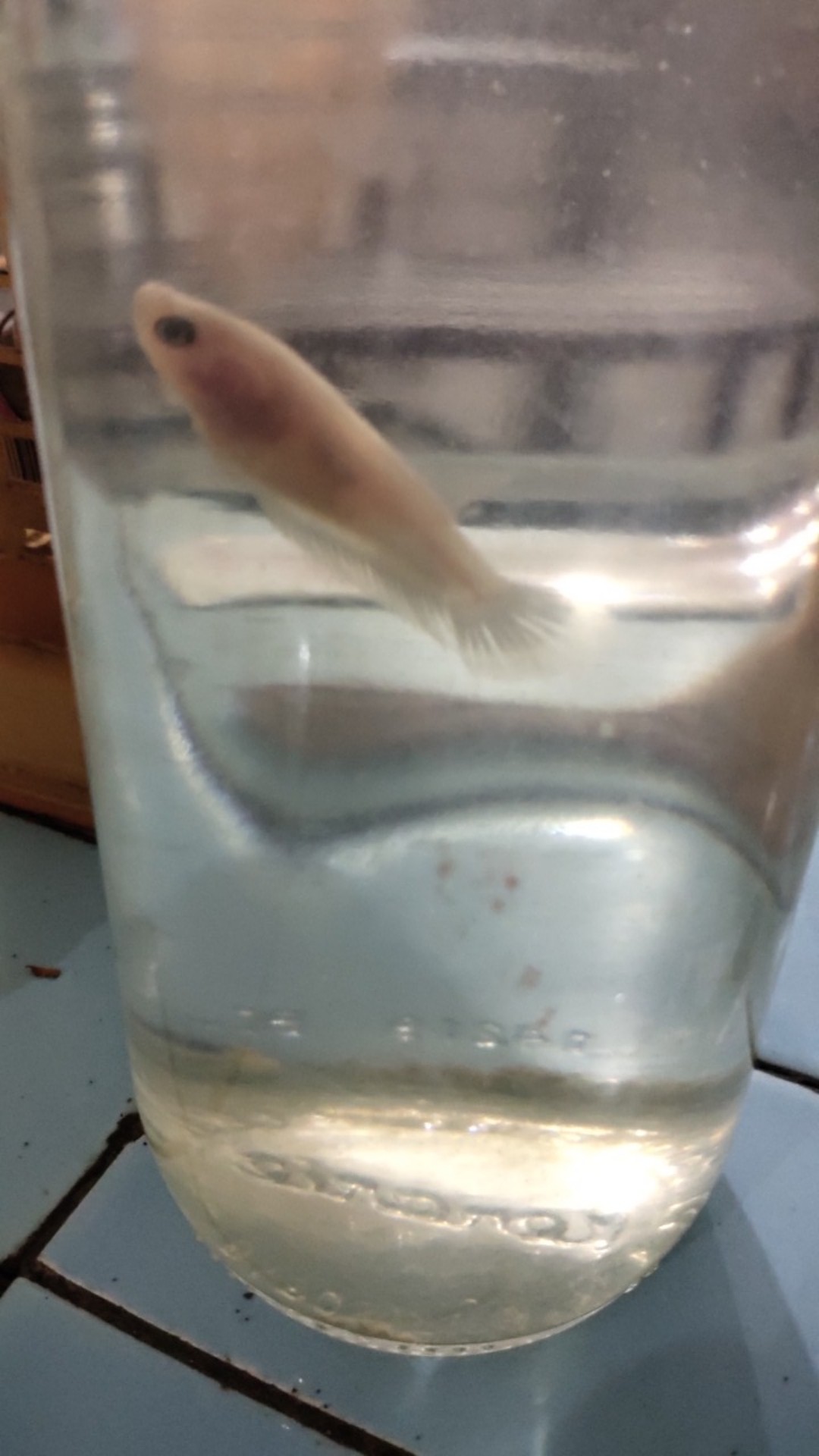 Dt Ollshop  Kemeja Batik Pekalongan Pria Cowok Lengan Panjang Motif Wayang Hitam