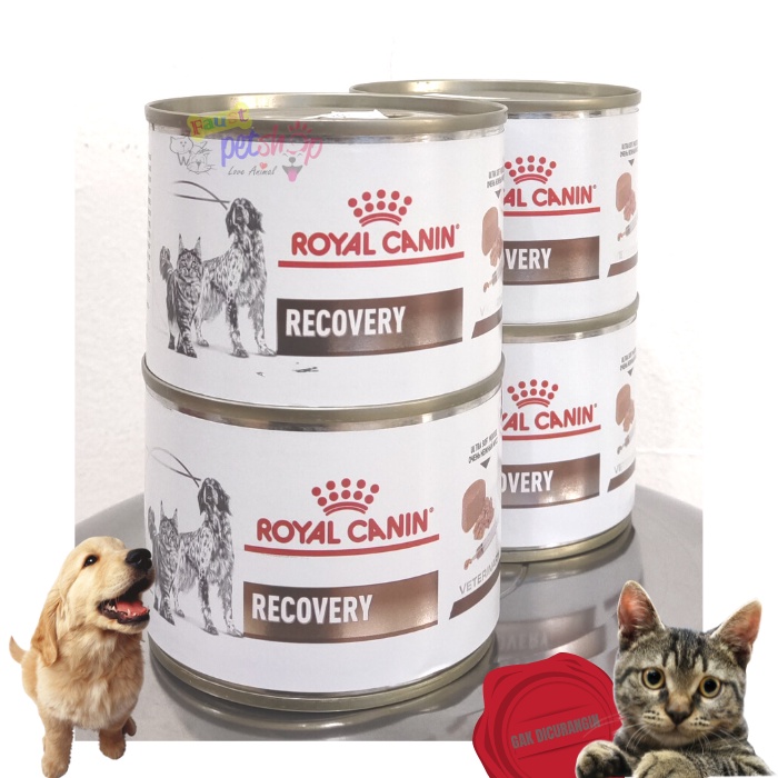 Royal Canin Recovery Untuk Kucing Sakit - Homecare24