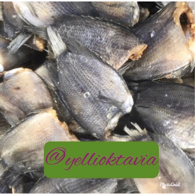 

Ikan Sapek Besar 500 gr