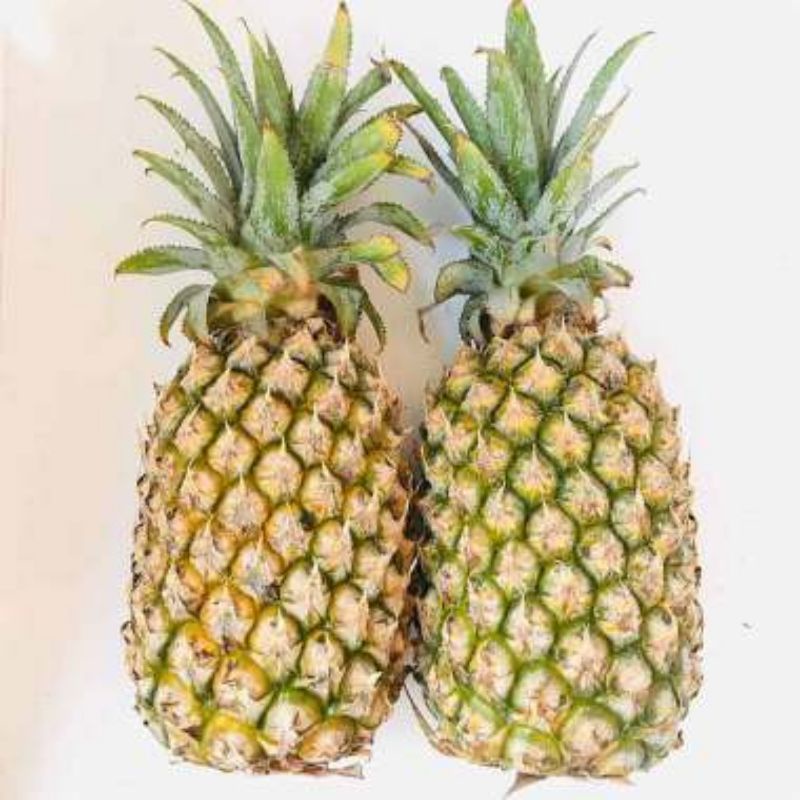 

nanas buah segar bandung