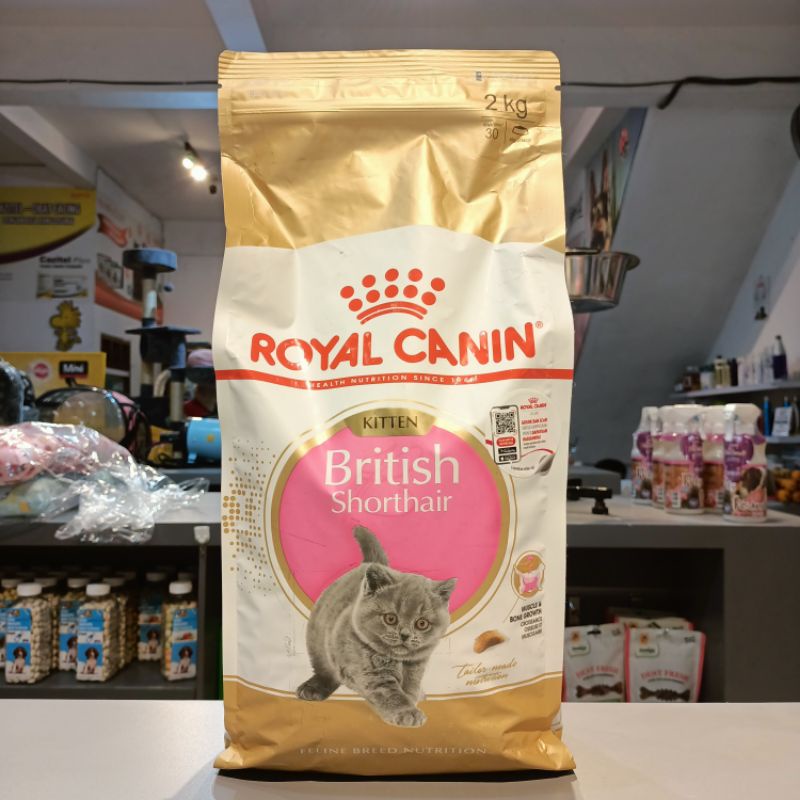 Royal Canin Cat Kitten British Shorthair 2kg / Makanan kering Kucing