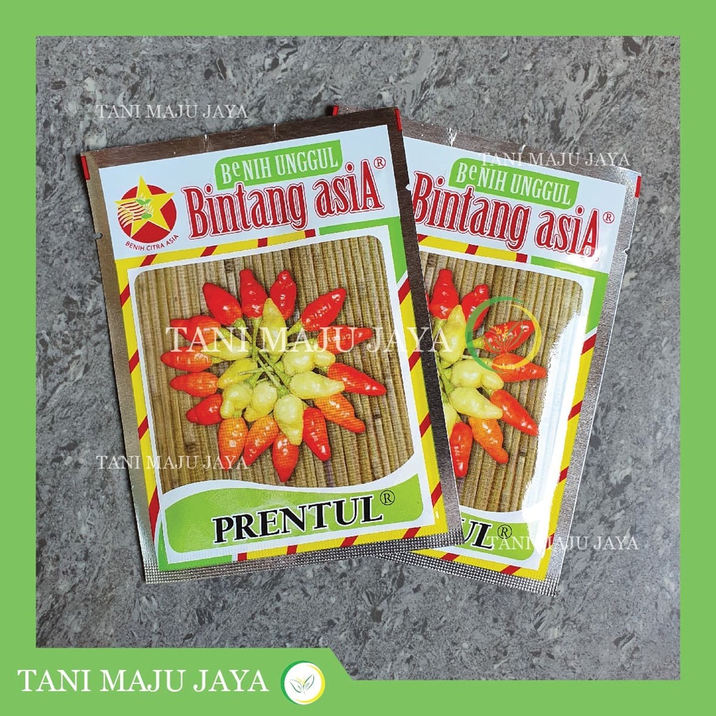 Benih Cabai / Cabe Prentul 10gr Bintang Asia