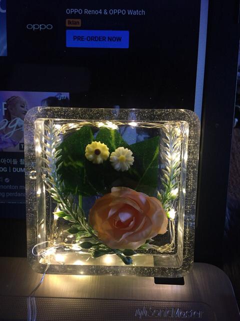 Daun Plastik Lavender