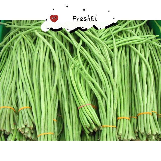 

FreshEl - KACANG PANJANG 250gr
