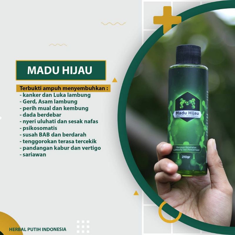 MADU HIJAU ASLI OBAT LAMBUNG KRONIS KANKER LAMBUNG MAAG KRONIS
