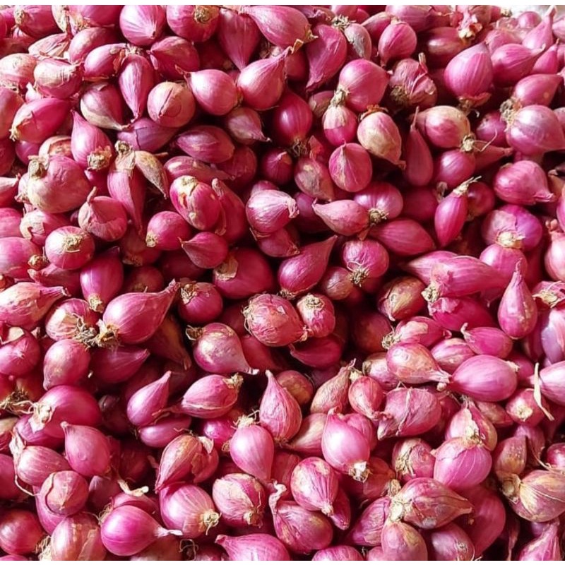 

Bawang Merah Brebes Asli ! Kualitas Apik 100%