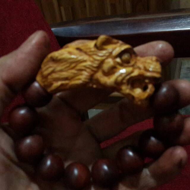 GELANG SINGA KAYU NAGASARI KOMBINASI KELOR MAS