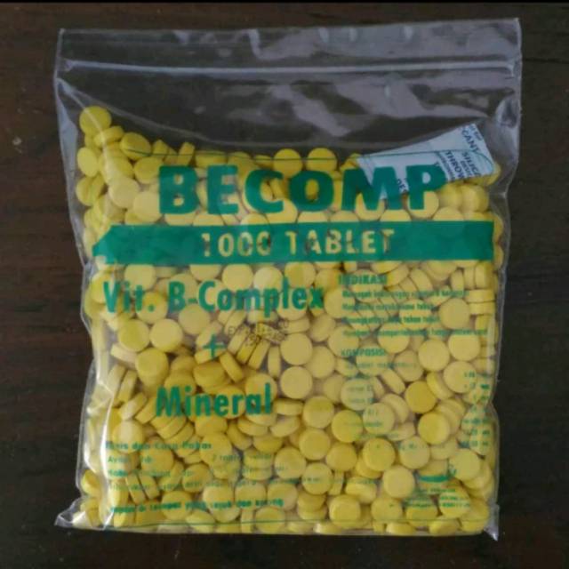 Vitamin B complex hewan pil tablet