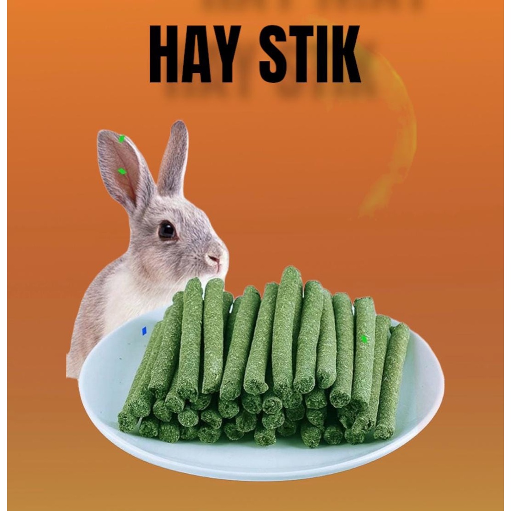 TIMOTHY HAY STICK - Stik Hay Makanan Kelinci Snack Kelinci Camilan Kelinci Timothy Hay SATUAN