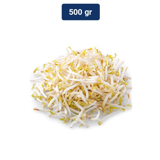 

Tauge Mayoshi 500 gr