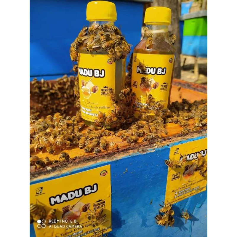 

MADU MURNI ASLI SUPLEMEN KESEHATAN