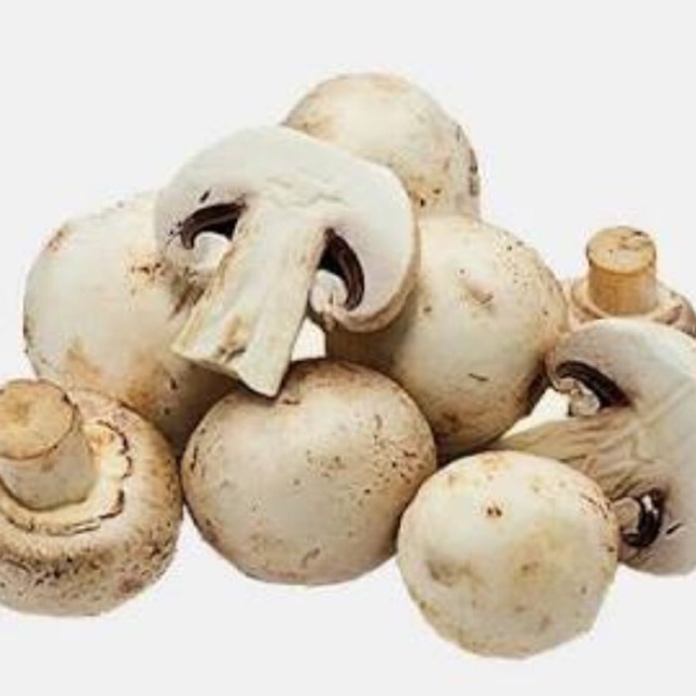 

EXTRA MUSHROOM / JAMUR