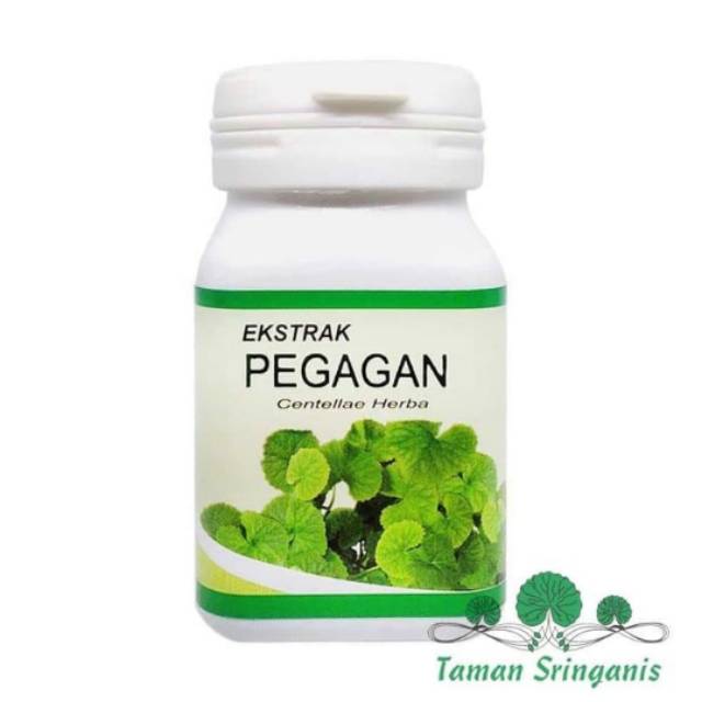 

Kapsul Ekstrak Pegagan/Antanan, Obat Herbal Ginjal, Pelancar Kencing, insomnia