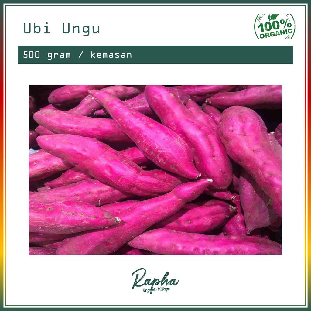 

Ubi Ungu Organik
