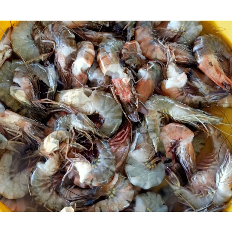 

Udang Segar 500gr