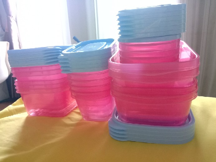 Bambang Dusdusan Food Container Warna Pink