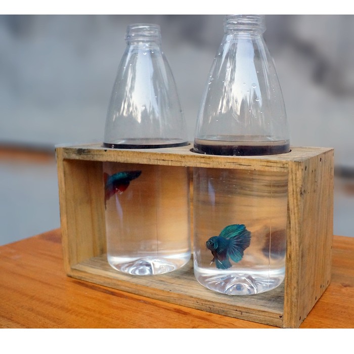Wadah Botol Ikan Cupang Kreatif