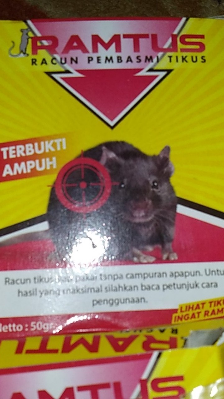 Ramtus Racun Tikus Ampuh Mati Kering Tidak Bau Pembasmi Curut Wirog Mencit Dirumah Di Mobil 3 Pack