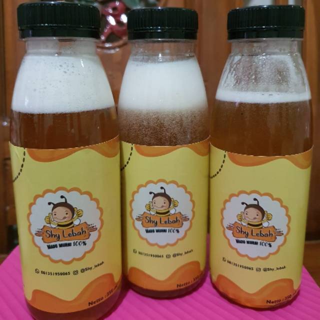 

Madu shy lebah