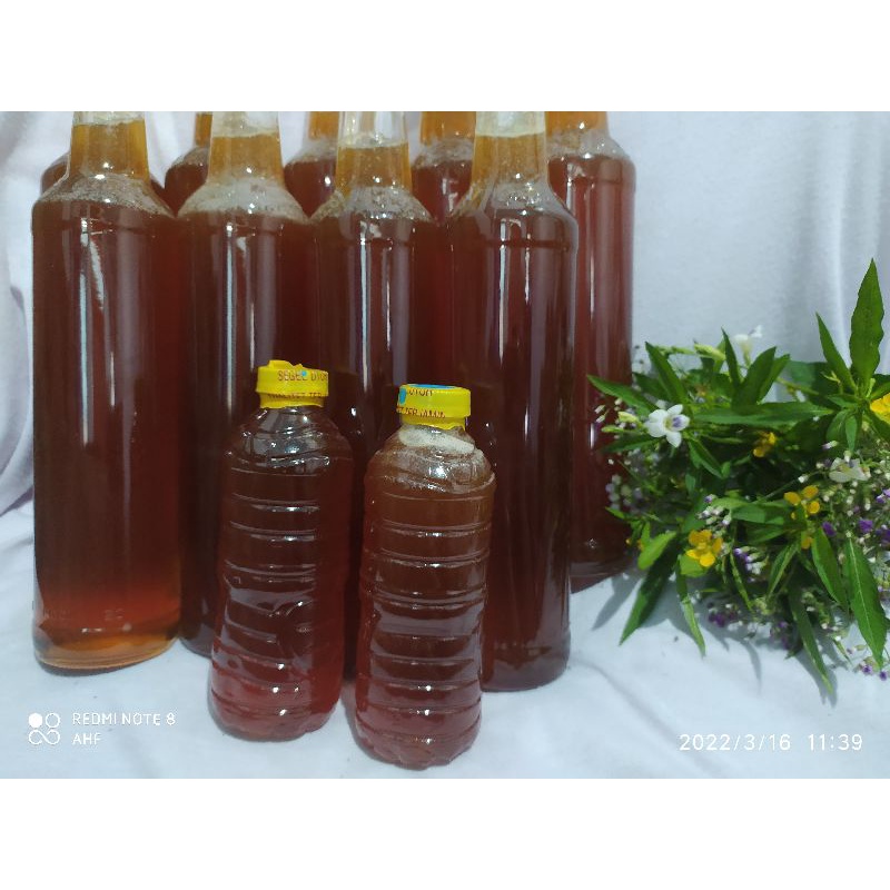 

Madu Murni Hutan liar