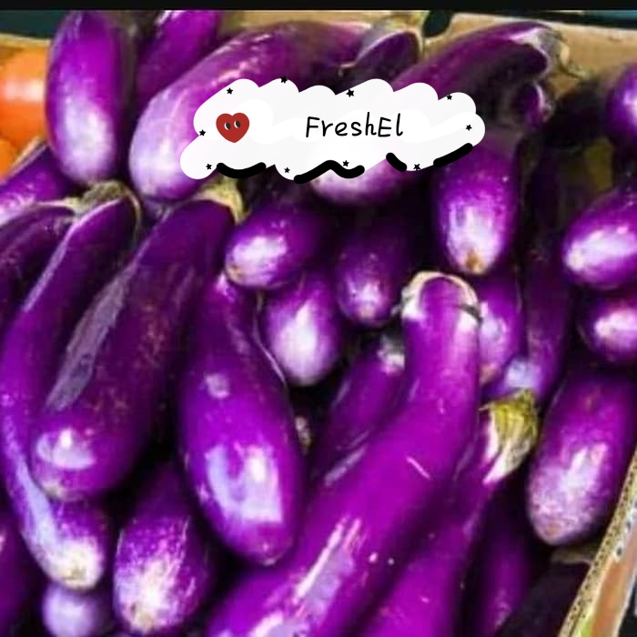 

FreshEl - TERONG UNGU 500gr