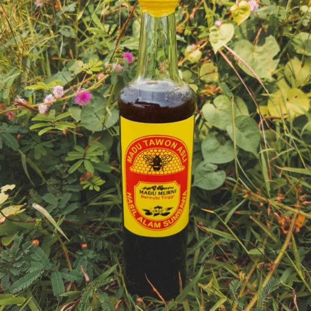 

Madu hitam sumbawa