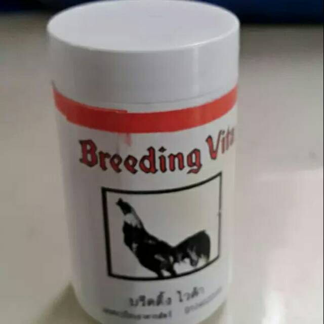 BREEDING VITA AYAM