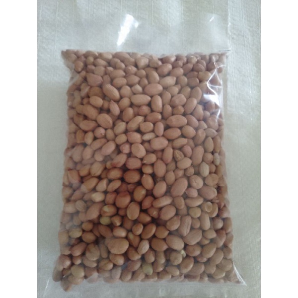 

kacang tanah india