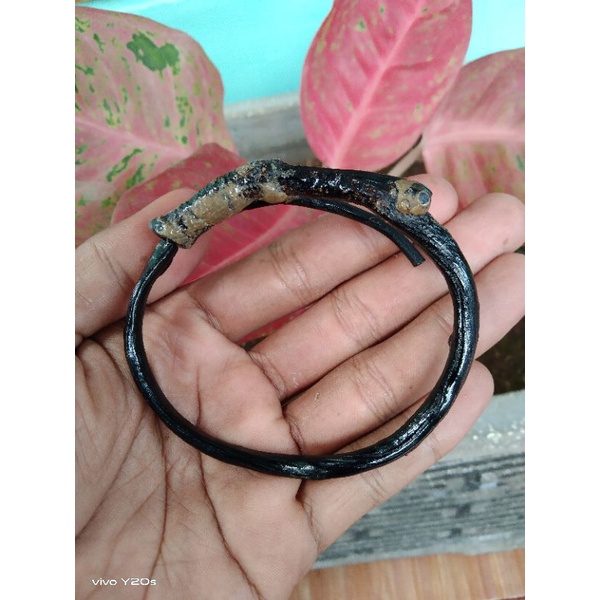GELANG AKAR BAHAR HITAM BONGGOL ASLI