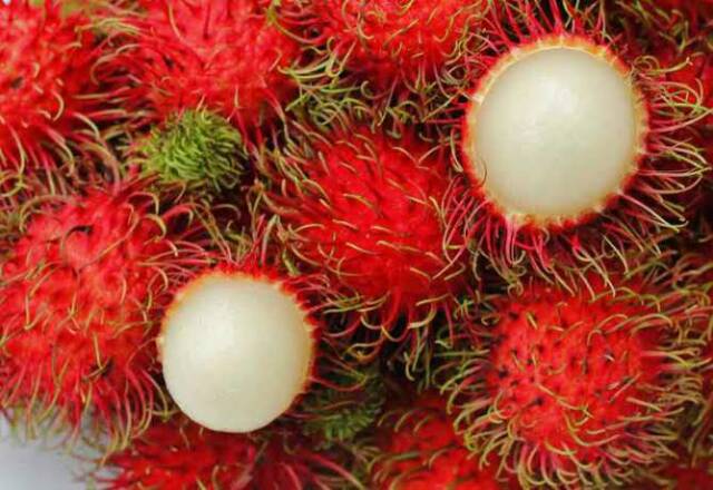 Bibit Rambutan Binjai/Tanaman Rambutan Binjai