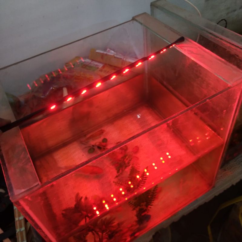 lampu aquarium led warna merah dua baris 20 titik