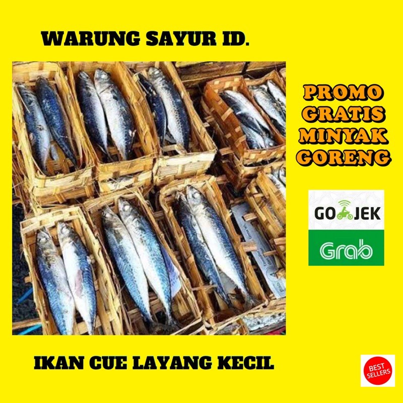

IKAN CUE LAYANG KECIL