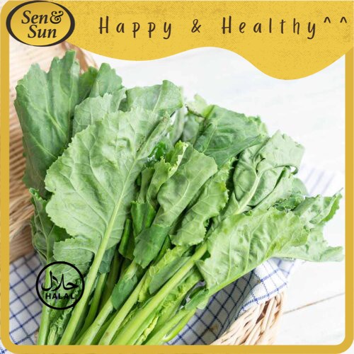 

Sen&Sun Kailan Baby Conventional 250 gr