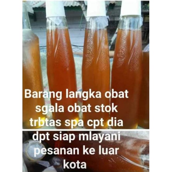 

madu hutan asli