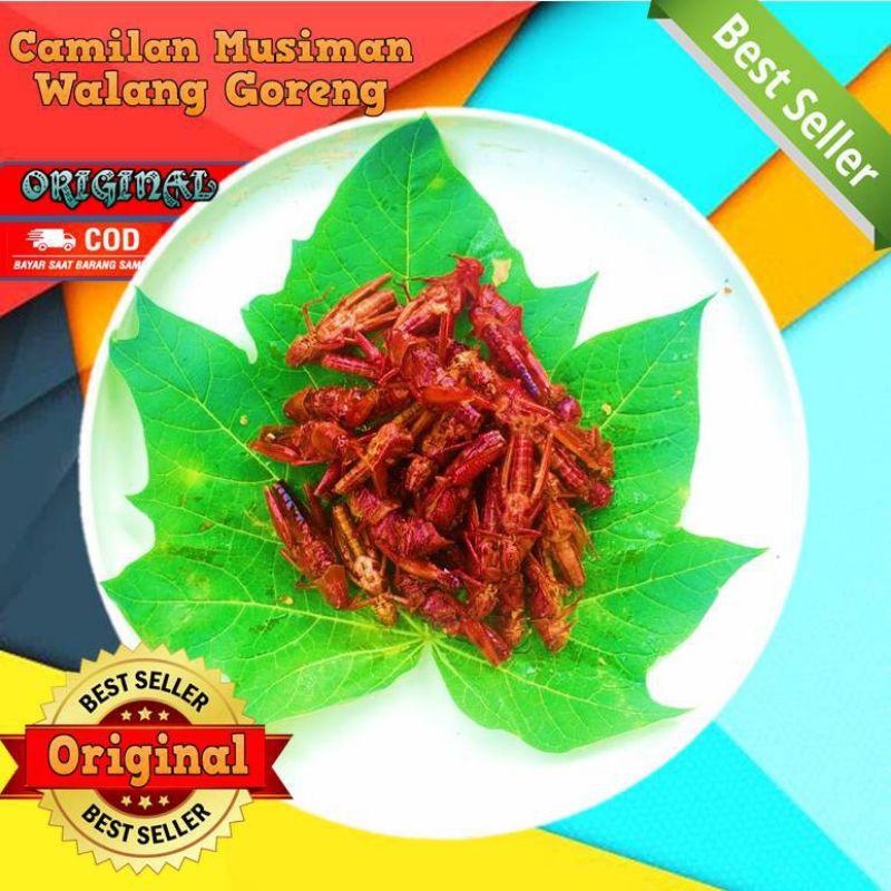 

Belalalng Goreng Original / Belalang Goreng Pedas / Makanan Ringan Belalang Goreng