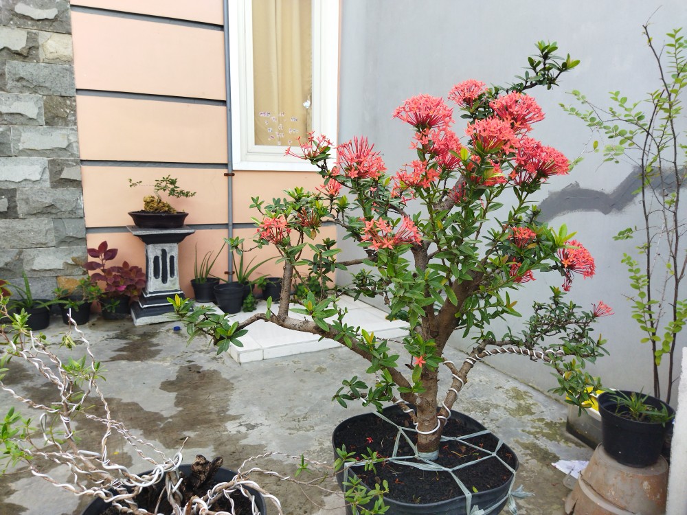 Kawat Bonsai Putih Ecer Per Meter 3 Mm