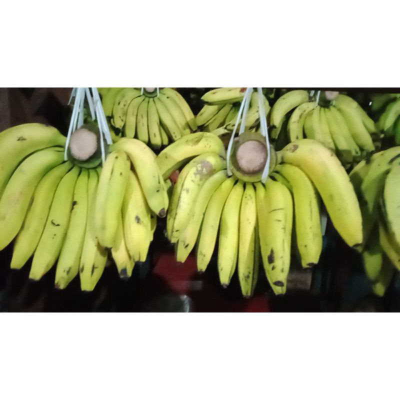 

Pisang Ambon Per Sisir