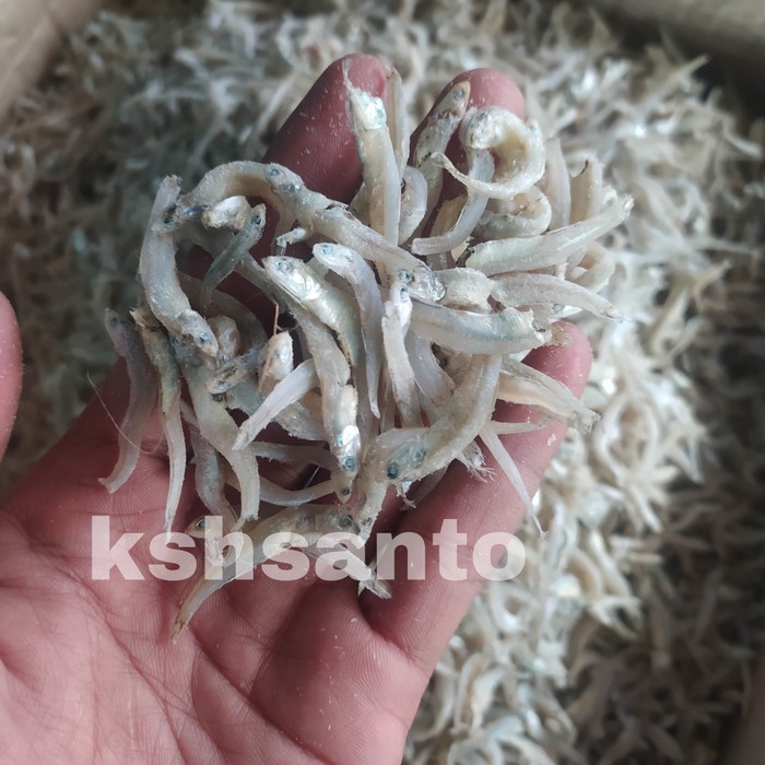 

Vs201Vv Ikan Asin Teri Bontio Vip-500Gram Dscscv