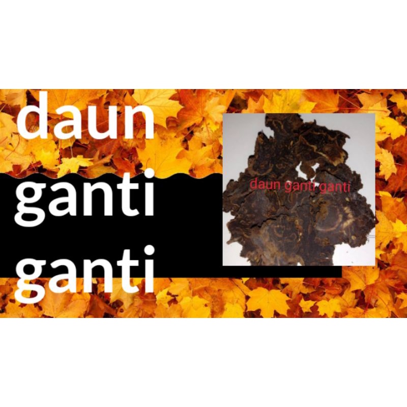 

Rempah daun ganti ganti atau geganti