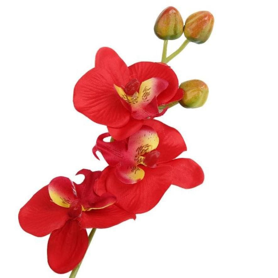 Artificial Plant - Orchid_ Phalaenopsis