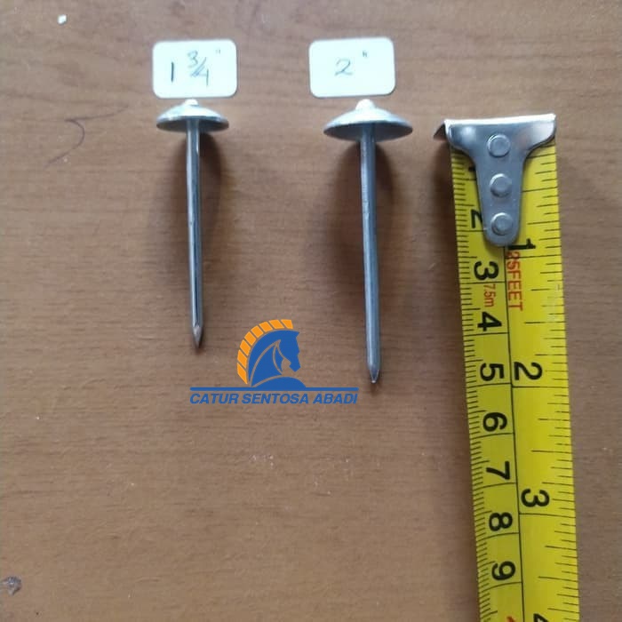 Paku Payung / Paku Seng Asbes Atap Curah 2 Inch 5 cm Per 1 Kg CSA