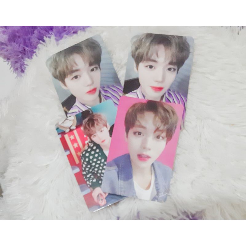 Park Jihoon Photocard Official / maykit / first edition