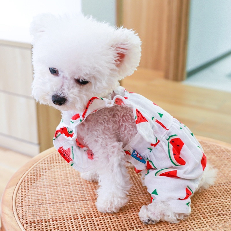 Korea watermelon ruffle jumper