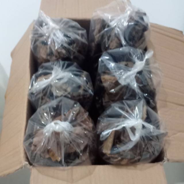 

Paket 6 bungkus daun ketapang untuk ikan ,udang , dll